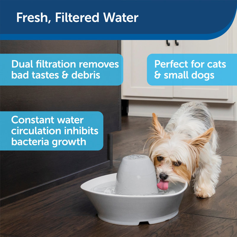 PetSafe Creekside Ceramic Pet Fountain & Reviews Wayfair